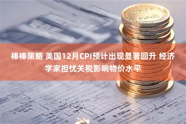 棒棒策略 美国12月CPI预计出现显著回升 经济学家担忧关税影响物价水平