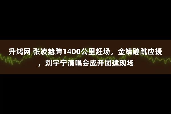 升鸿网 张凌赫跨1400公里赶场，金靖蹦跳应援，刘宇宁演唱会成开团建现场